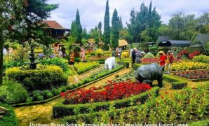 Destinasi Wisata Kebun Begonia Bandung Tawarkan Aneka Bunga Cantik