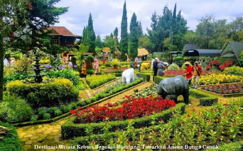 Destinasi Wisata Kebun Begonia Bandung Tawarkan Aneka Bunga Cantik