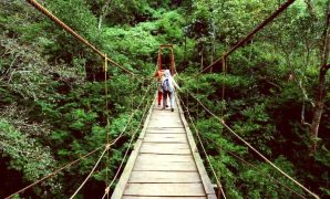 Sensasi Liburan ke Taman Hutan Raya Ir H Djuanda Bandung