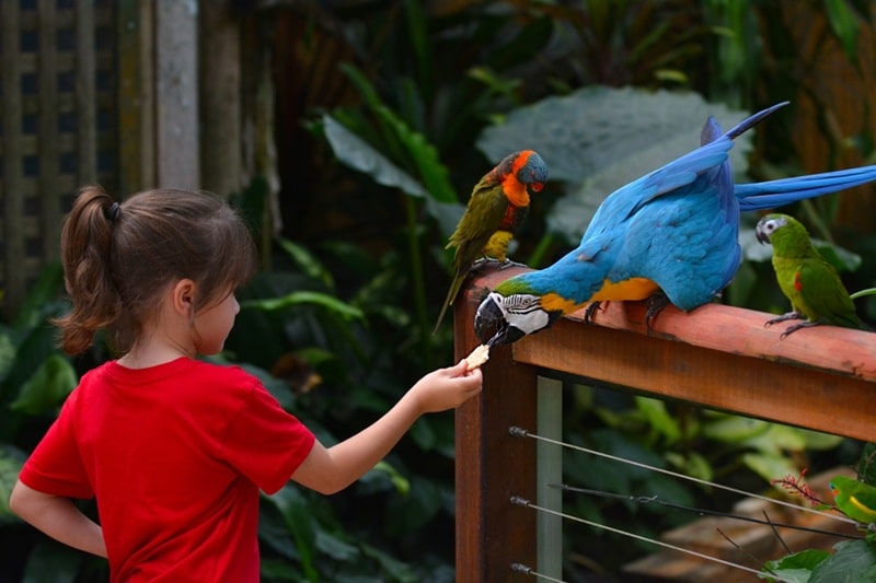 Lembang Park & Zoo, Wisata Edukatif Cocok untuk Liburan Keluarga