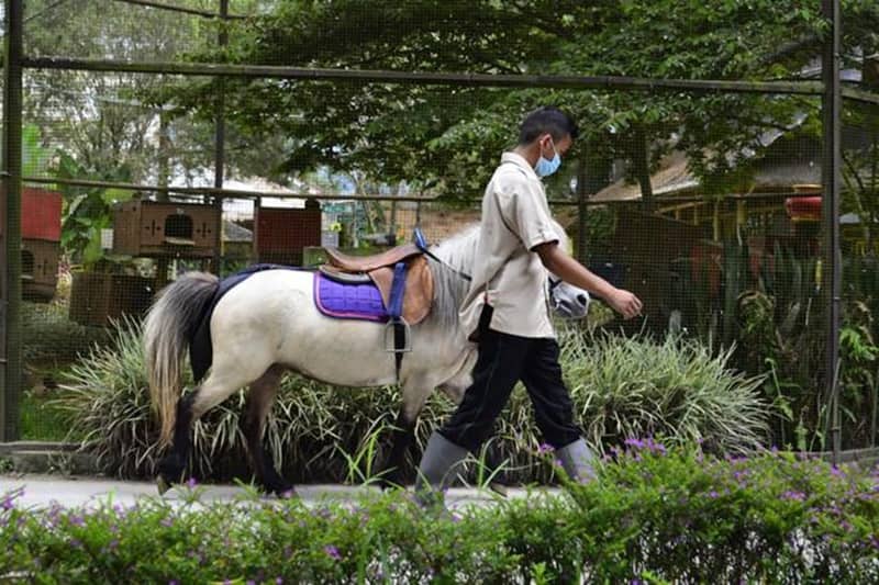 Lembang Park & Zoo, Wisata Edukatif Cocok untuk Liburan Keluarga