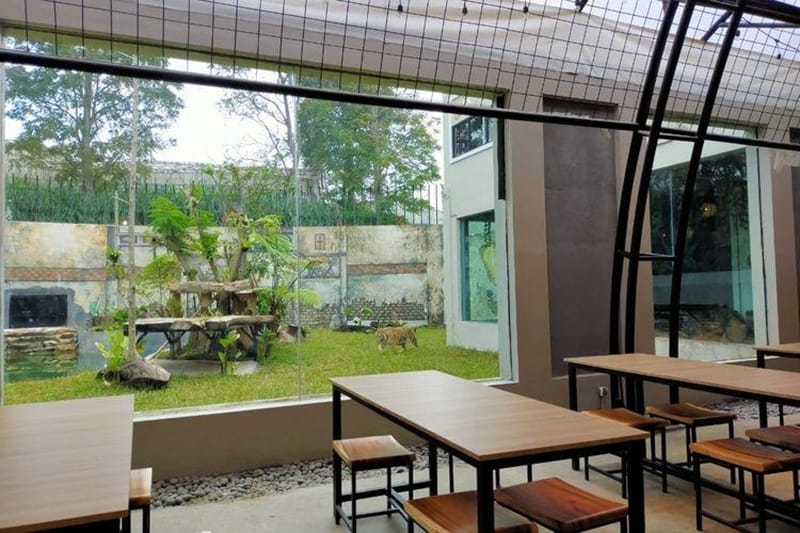 Lembang Park & Zoo, Wisata Edukatif Cocok untuk Liburan Keluarga