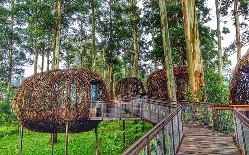 Pesona Dusun Bambu Lembang sebagai Destinasi Favorit Keluarga
