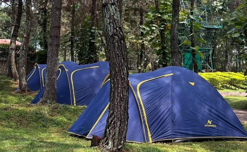 Cantigi Camp Cileunyi, Pusat Outbound Seru untuk Segala Usia
