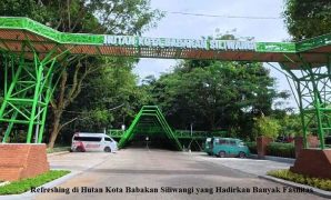 Refreshing di Hutan Kota Babakan Siliwangi yang Hadirkan Banyak Fasilitas