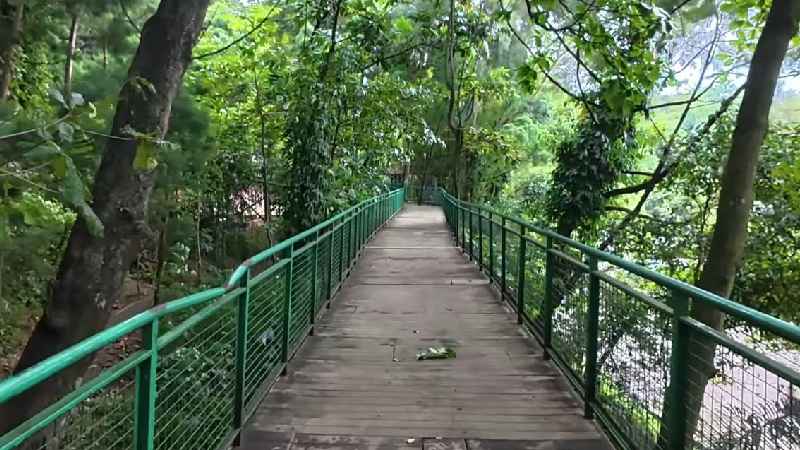 Refreshing di Hutan Kota Babakan Siliwangi yang Hadirkan Banyak Fasilitas