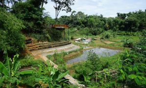 Wetland Park Cisurupan Bandung, Destinasi Wisata dengan Panorama Sawah dan Kolam Wetland Park Cisurupan Bandung, Destinasi Wisata dengan Panorama Sawah dan Kolam