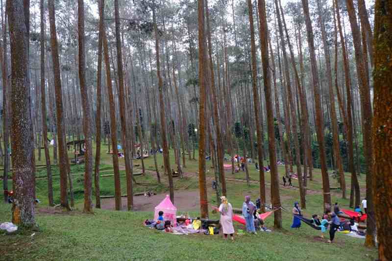 Wisata Batu Kuda Manglayang Bandung Timur, Tempat Camping dan Piknik Favorit